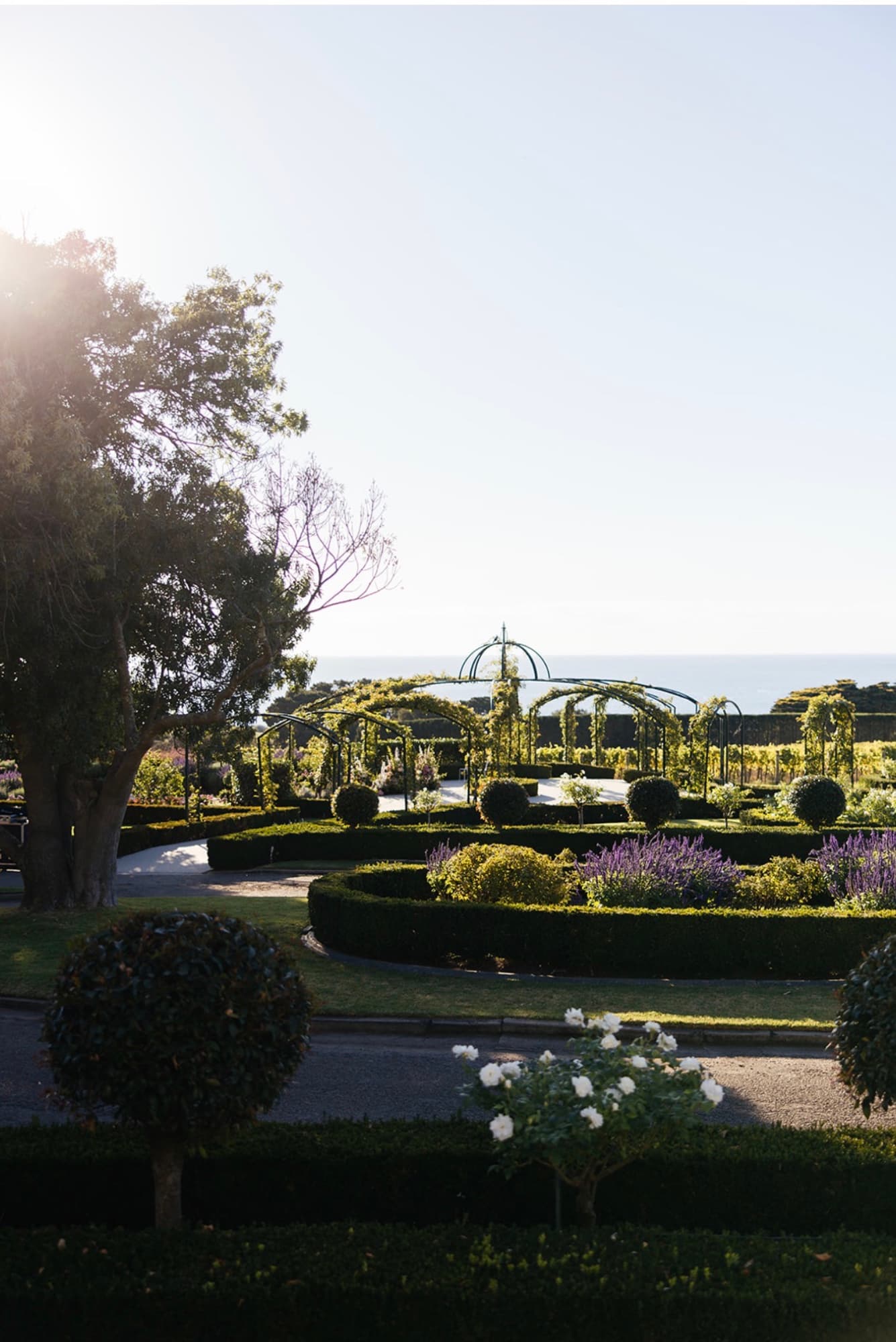 The homestead and gardens at Sunnyside Estate, Mount Eliza, high above Port Phillip Bay